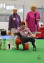 Athai Naivaski Usire - Special european puppy winner - medio male
