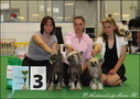 Best breeding group - 3. place
