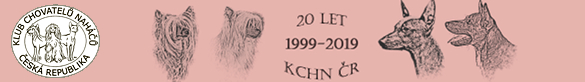 Logo KCHN